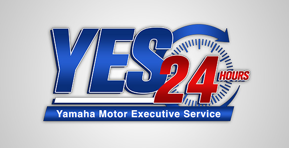 Xmax 250 - Yamaha Executive Service 24 Hours